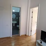 Ris Unirii ,centru Gæstehus 3*